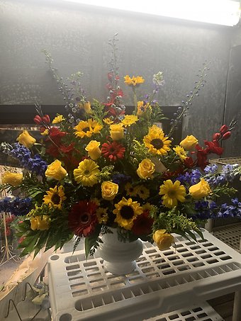 Bright and Sunny