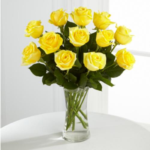 A Yellow Dozen
