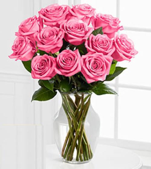 A Pretty Pink Dozen